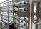 1T/H Ss304 EDI Water Treatment Plant , Two Stage Reverse Osmosis System Plus PH Dosing System