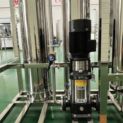 0.25 Tons Double-Stage Of Purified Water Reverse Osmosis Equipment